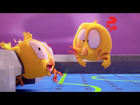 ¡Chicky está perdido! 😱 ¿Dónde está Chicky? | Colección dibujos animados para Niños