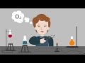 Exploring the Fundamentals of Redox Reactions