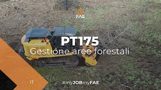 FAE PT-175 - il veicolo cingolato con trincia forestale 140/U al lavoro negli USA