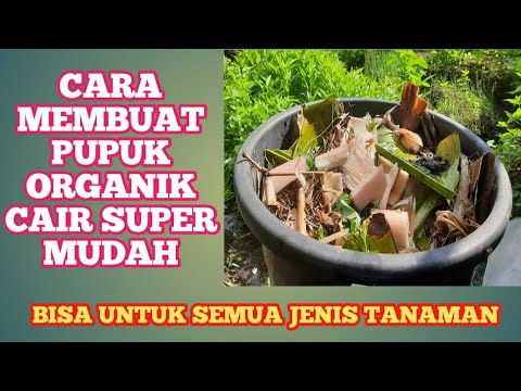 TANAMAN SUBUR TANPA MODAL !!! TUTORIAL MEMBUAT POC SUPER DARI BATANG PISANG