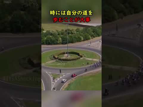 時には自分の道を歩むことが大事!😮