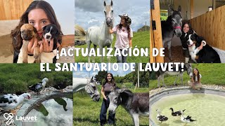 Mi Santuario Sigue Creciendo | Te Cuento Todo: Avances, Nuevos Animales y Sueños Cumplidos - Lauvet