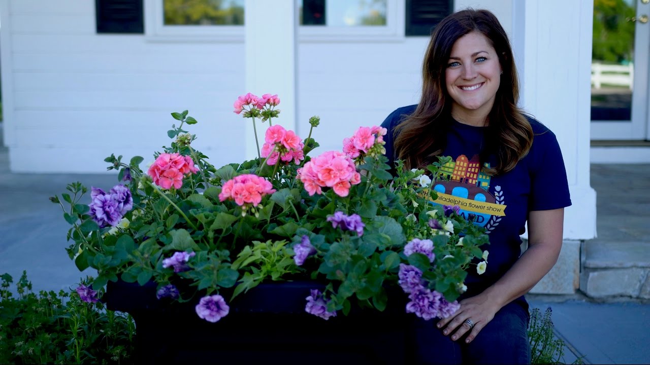 Planting up Containers for Full Sun
