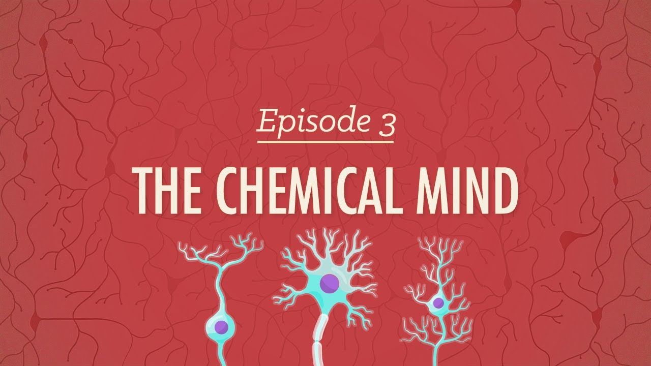 The Chemical Mind Crash Course Psychology 3