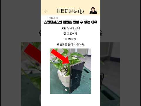 스킨답서스의 비밀을 말할 수 없는 이유