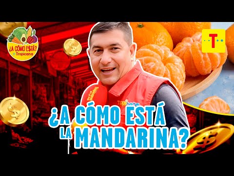 ¿A cómo está la MANDARINA? | Tropicana