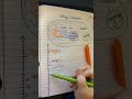Exploring Integer Operations