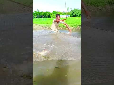 এত বড় মাছ কিভাবে দরল | #fishing #fish #shortsvideo #shortviral #short #khanofficial
