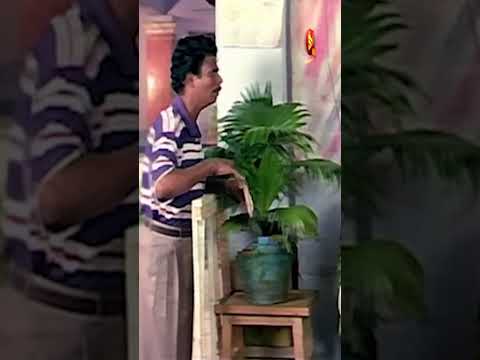 തഗ്ഗിൽ മാമുക്കോയക്ക് പറ്റിയ എതിരാളി ഇന്ദ്രൻസ് ചേട്ടൻ 😂😂 | Indrans Comedy Scenes | Kokkarakko