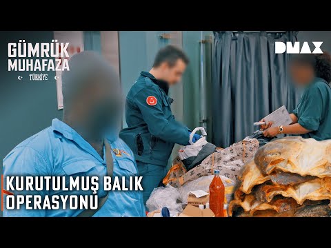 Valizinden Kurutulmuş Balık ve Çiğ Et Çıktı | Gümrük Muhafaza Türkiye