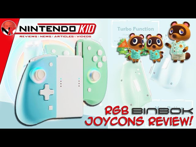 RGB LED BinBok JoyCons Review! The Best Third Party JoyCons for Your Nintendo Switch!