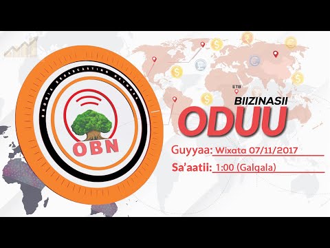 Oduu Biizinasii Galgalaa OBN Adoolessa 05,2017