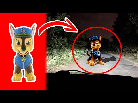 10 PAW PATROL Captados en CÁMARA Y Vistos En La VIDA REAL