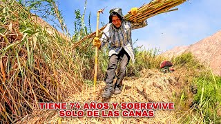 74 AÑOS han pasado y él sigue allí. SOLO EN LOS MONTES , SOBREVIVIENDO únicamente de las CAÑAS