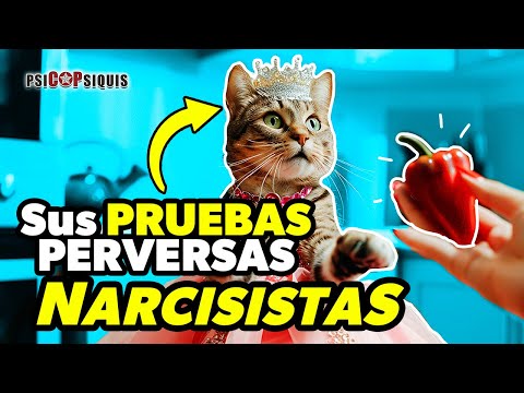 ➤ X ESTO TE BUSCA UN NARCISISTA 👿