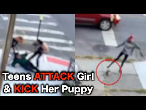 TEENS Savagely Attack Girl & Puppy