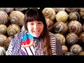 Understanding Snail Population Dynamics