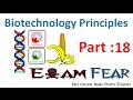 PCR Techniques and DNA Amplification