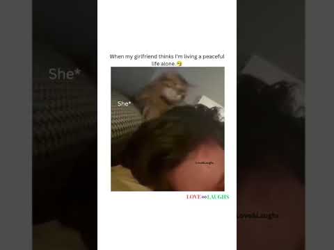 She Doesn’tlike Peace🤣😂#relatable #cats #fyp #trending