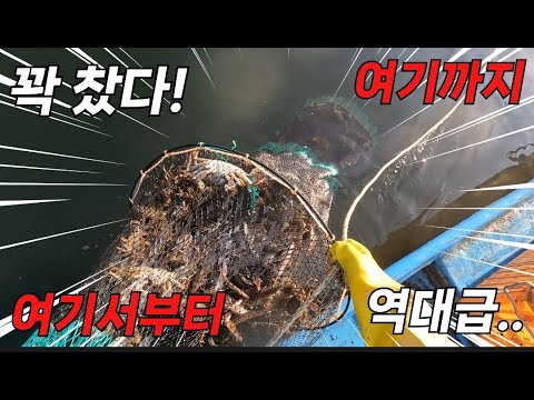 감당할 수 없는 엄청난 물고기 떼를 보니 당황스럽네요! 행복하지만 이걸 어쩌죠?!