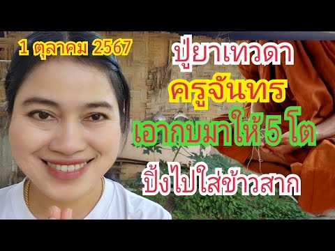 (ปู่ยาเทวดา) ครูจันทร เอากบมาให้ 5 โต...เอาไปปิ้ง ใส่ข้าวสาก 1 ต.ค 67#เบิ่งแล้วรวยchannel