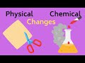 Exploring Physical vs Chemical Changes Through Real-Life Examples