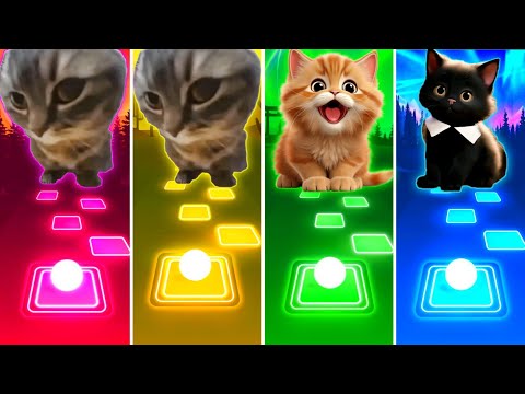 Chipi Chapa Cat vs Meow Chipi Chapa Cat vs Waka Waka Cat vs Bloody Mary - Tiles Hop EDM Rush