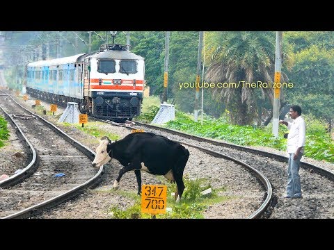 Man risks his life chasing the Cow | WAP5 visits Bangalore | Shatabdi Express