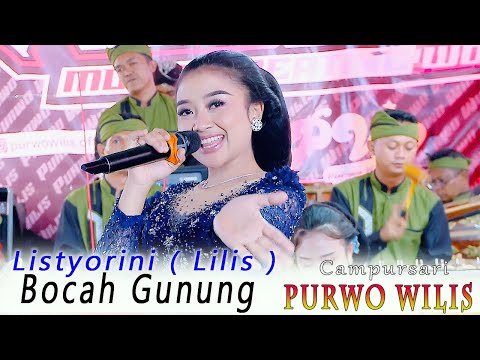LANGGAM BOCAH GUNUNG // LILIS // CAMPURSARI PURWO WILIS // NR AUDIO