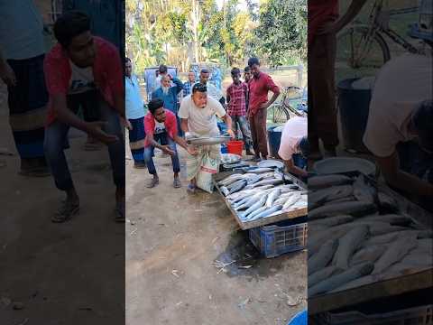 🙆🤪🫣🥺All the fish were taken