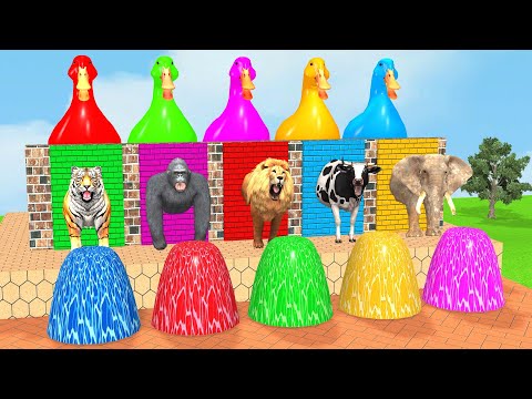 Long Slide Game With Cow Elephant Gorilla Hippopotamus Tiger 3d Animal Game Funny 3d Animals