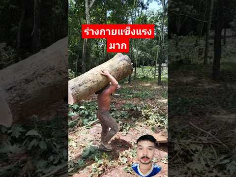 ร่างกายพี่เขาแข็งแรงมาก ขออนุญาตทุกท่านในคลิปนะครับ #กำลังฮิตในtiktok #ข่าวบันเทิง #กระแส #shorts