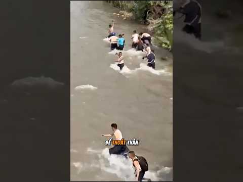 Người dân Nepal "phong sát" quan chức cho là tham nhũng #shortvideo