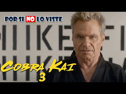 Por si no lo viste: Cobra Kai (Temporada 3)