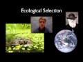 Exploring Selection in Biology