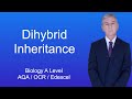 Dihybrid Cross Concepts and Phenotypes