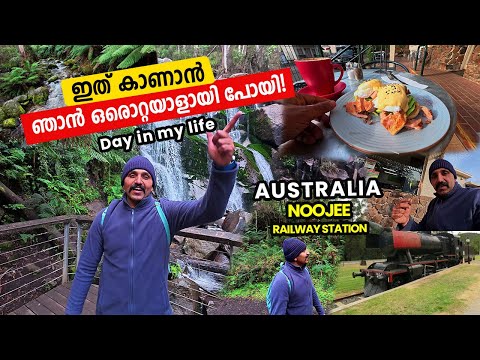 Day in My life ഇത് പോലെ ഒരിടം മുമ്പ് കണ്ടിട്ടുണ്ടോ |  Noojee Australia