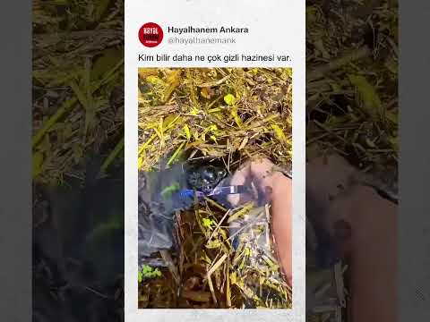 Kim Bilir Daha Ne Çok Gizli Hazinesi Var