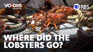 YouTube video thumbnail: What Happens to Fishermen When the Fish Go Away?