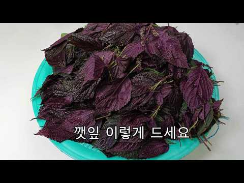 깻잎이 이렇게 휼륭한 요리였다니 놀랍습니다