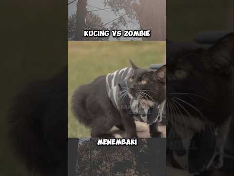 MENYELAMATKAN KUCING KECIL