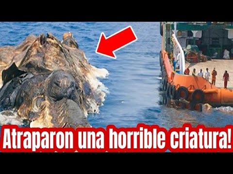 Pescadores atrapan una extraña criatura! Pero nunca imaginaron lo que sucedería después.