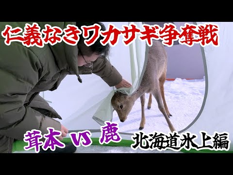 仁義なきワカサギ争奪戦　茸本vs鹿　北海道氷上編