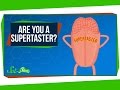 Understanding Supertasting and Taste Sensitivity