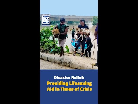 Disaster Relief | Providing Lifesaving Aid in Times of Crisis | FRIENDICOES SECA