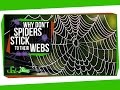 Understanding Spider Webs and Their Builders