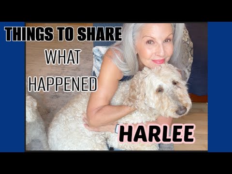 WHERE HAVE I BEEN | SHARING | NO MORE BLONDE #lifeupdate