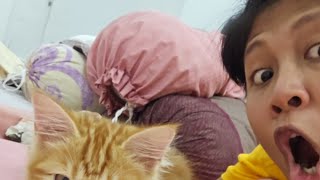 miss wortel sedang live sekarang!