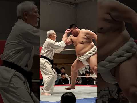 Old man never fades away # Chinese style wrestling # Boxing arena # Free wrestling entertainment