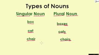 Singular and Plural Nouns (explanation with examples)